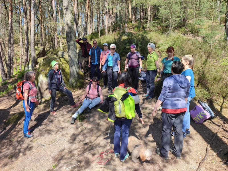 Wanderführer des Schwarzwaldvereins beim Waldbaden