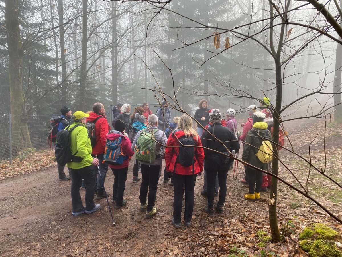 25 Teilnehmende, darunter 14 Mitglieder und 11 Gäste, mit dem Schwarzwaldverein Zell-Weierbach auf einer besonderen Genießertour rund um Hesselbach.